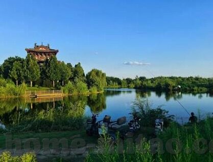 麻豆传媒网盘-对麻豆传媒网盘，互联网新生态的另一面分析
